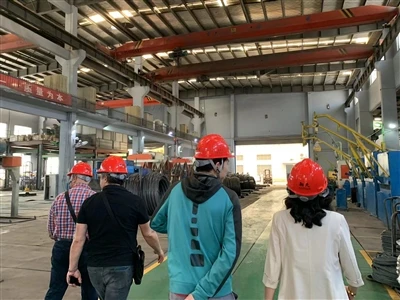 Турецкий клиент приезжает посетить нашу компанию